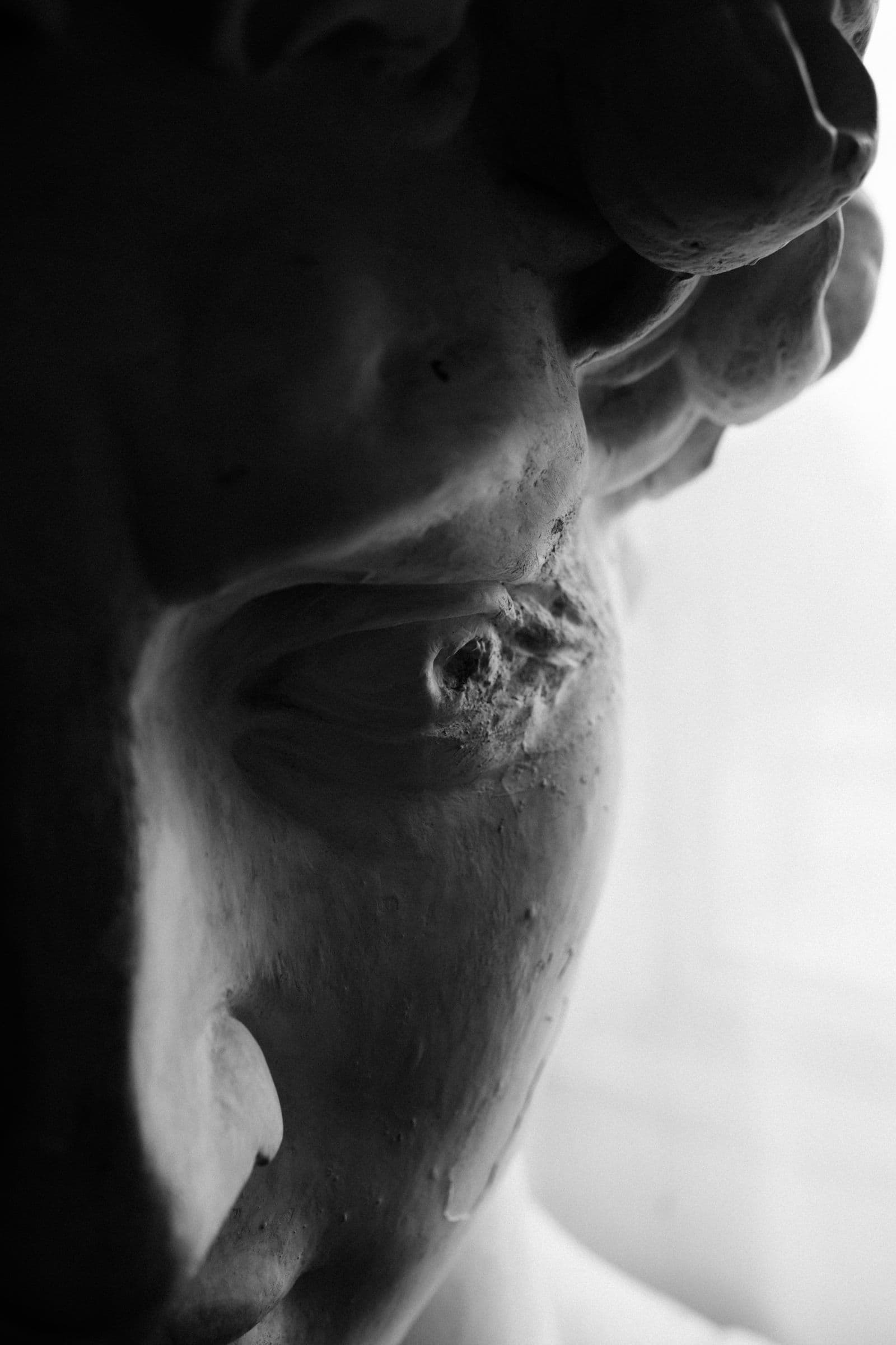 Perfil de escultura em preto e branco representando a região orofacial